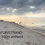 Standard Auf Ruegen - Bis 5 Personen - Nur 100m Zum Naturstrand - Mitten Im Wald - Familien Und Hunde Herzlich Willkommen - Schwalbennest Prázdninový areál 2*
