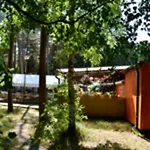 Standard Auf Ruegen - Bis 5 Personen - Nur 100m Zum Naturstrand - Mitten Im Wald - Familien Und Hunde Herzlich Willkommen - Schwalbennest 2*