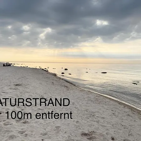 Standard Auf Ruegen - Bis 5 Personen - Nur 100m Zum Naturstrand - Mitten Im Wald - Familien Und Hunde Herzlich Willkommen - Schwalbennest Prázdninový areál 2*