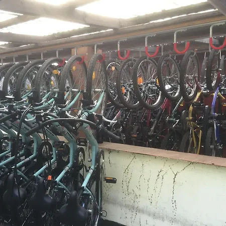 홀리데이파크 Standard Auf Ruegen - Bis 5 Personen - Nur 100m Zum Naturstrand - Mitten Im Wald - Familien Und Hunde Herzlich Willkommen - Schwalbennest