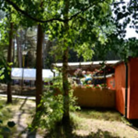 Standard Auf Ruegen - Bis 5 Personen - Nur 100m Zum Naturstrand - Mitten Im Wald - Familien Und Hunde Herzlich Willkommen - Schwalbennest 2*