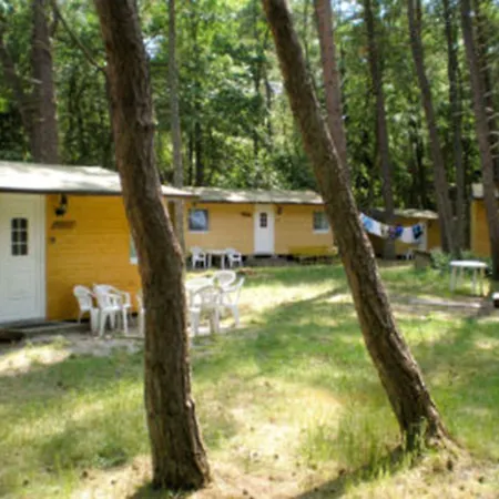 Standard Auf Ruegen - Bis 5 Personen - Nur 100m Zum Naturstrand - Mitten Im Wald - Familien Und Hunde Herzlich Willkommen - Schwalbennest