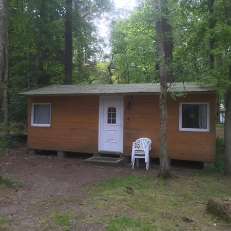 Standard Auf Ruegen - Bis 5 Personen - Nur 100m Zum Naturstrand - Mitten Im Wald - Familien Und Hunde Herzlich Willkommen - Schwalbennest Dranske