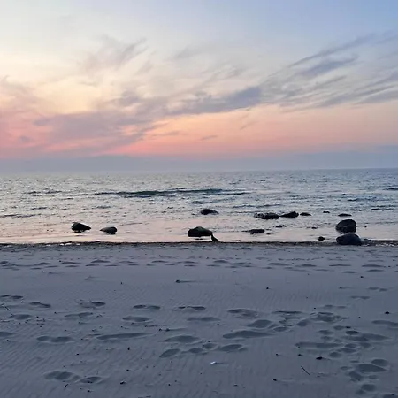 Standard Auf Ruegen - Bis 5 Personen - Nur 100m Zum Naturstrand - Mitten Im Wald - Familien Und Hunde Herzlich Willkommen - Schwalbennest Dranske