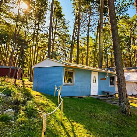 Standard Auf Ruegen - Bis 5 Personen - Nur 100m Zum Naturstrand - Mitten Im Wald - Familien Und Hunde Herzlich Willkommen - Schwalbennest ホリデーパーク