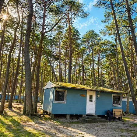 Prázdninový areál Standard Auf Ruegen - Bis 5 Personen - Nur 100m Zum Naturstrand - Mitten Im Wald - Familien Und Hunde Herzlich Willkommen - Schwalbennest 2*