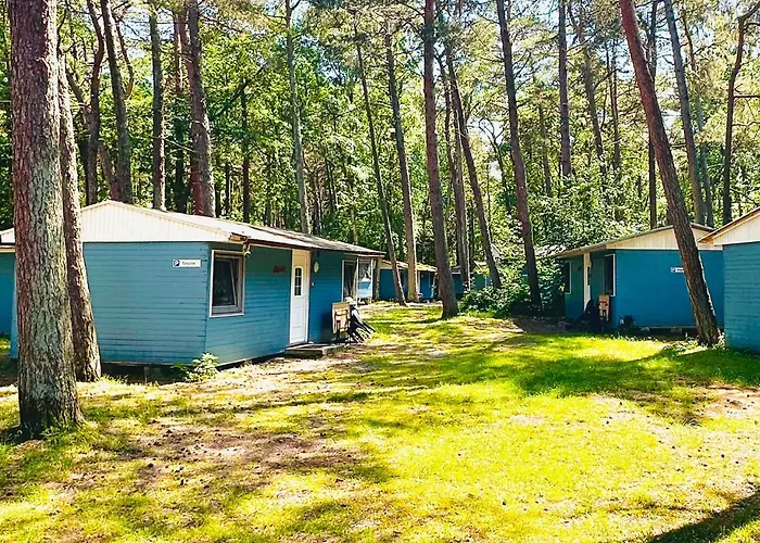 Standard Auf Ruegen - Bis 5 Personen - Nur 100m Zum Naturstrand - Mitten Im Wald - Familien Und Hunde Herzlich Willkommen - Schwalbennest