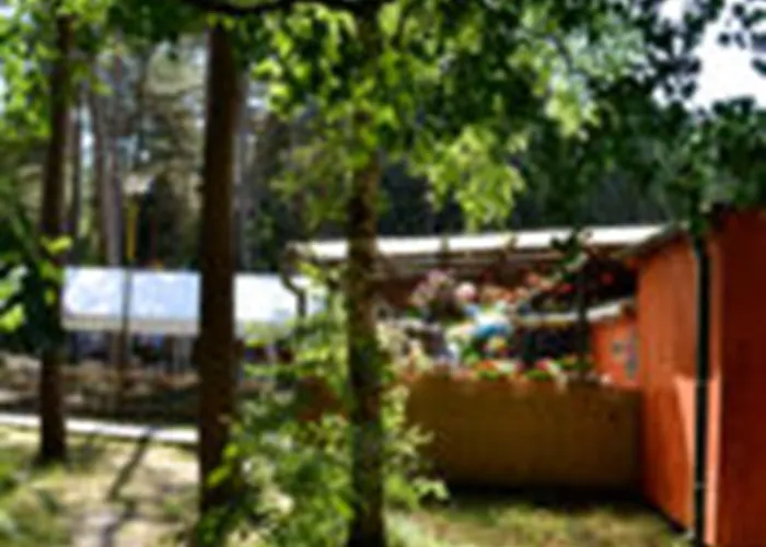 Standard Auf Ruegen - Bis 5 Personen - Nur 100m Zum Naturstrand - Mitten Im Wald - Familien Und Hunde Herzlich Willkommen - Schwalbennest 2*