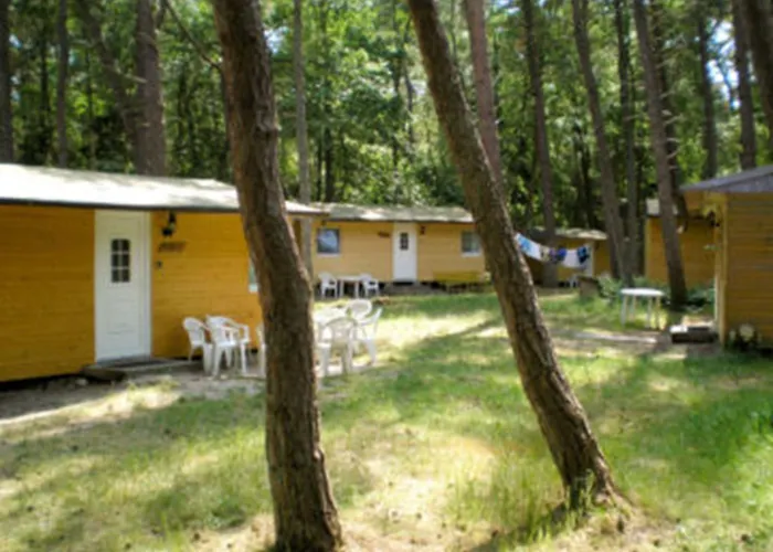 Standard Auf Ruegen - Bis 5 Personen - Nur 100m Zum Naturstrand - Mitten Im Wald - Familien Und Hunde Herzlich Willkommen - Schwalbennest