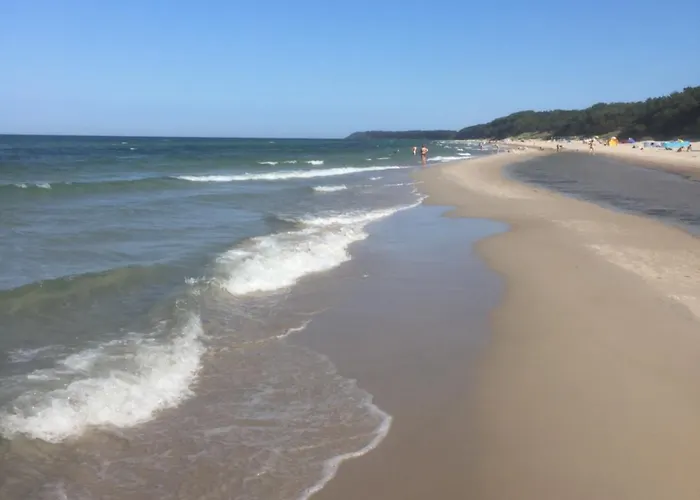 Üdülőpark Standard Auf Ruegen - Bis 5 Personen - Nur 100m Zum Naturstrand - Mitten Im Wald - Familien Und Hunde Herzlich Willkommen - Schwalbennest
