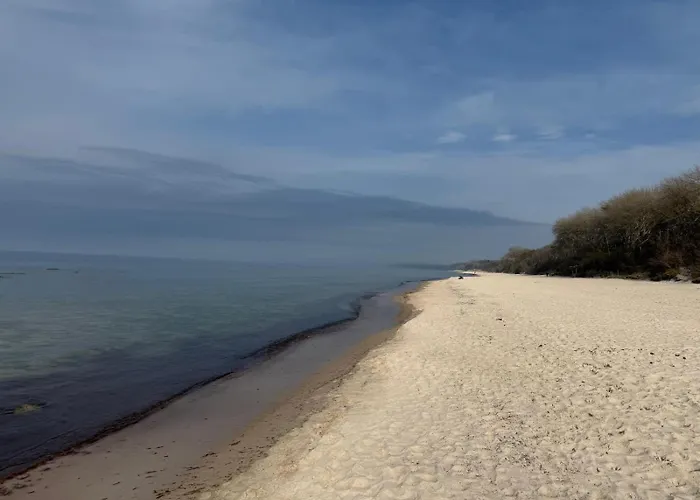 Standard Auf Ruegen - Bis 5 Personen - Nur 100m Zum Naturstrand - Mitten Im Wald - Familien Und Hunde Herzlich Willkommen - Schwalbennest Üdülőpark