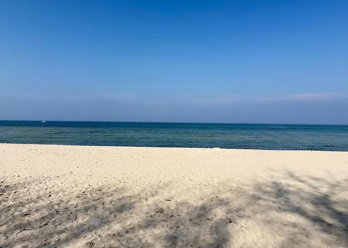 Standard Auf Ruegen - Bis 5 Personen - Nur 100m Zum Naturstrand - Mitten Im Wald - Familien Und Hunde Herzlich Willkommen - Schwalbennest Üdülőpark